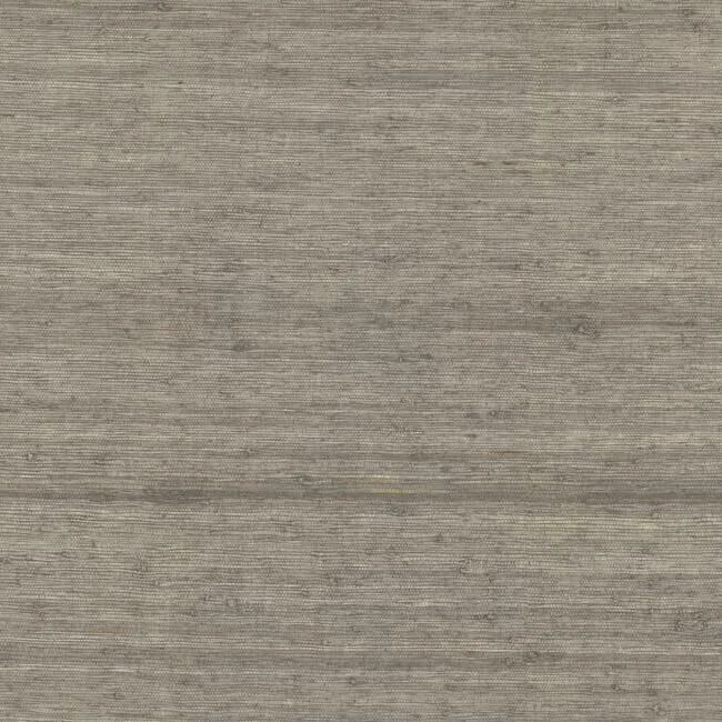 Arrowroot Grasscloth Wallpaper in Driftwood from the Water's Edge Resource Library