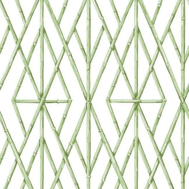 Riviera Bamboo Trellis Wallpaper in Fern from the Water's Edge Resource Library